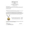 Image 4 : 14kt Gold & Diamond $20 Coin Bezel With Chain