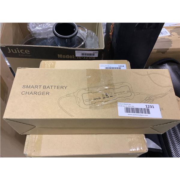 Smart Battery Charger