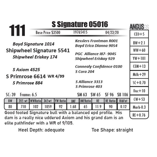 S Signature 05016