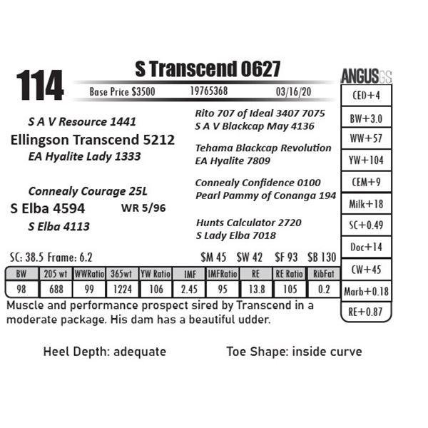 S Transcend 0627