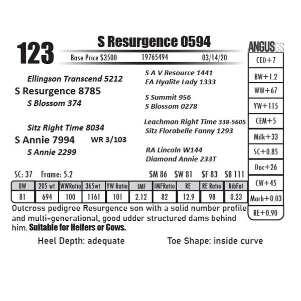 S Resurgence 0594