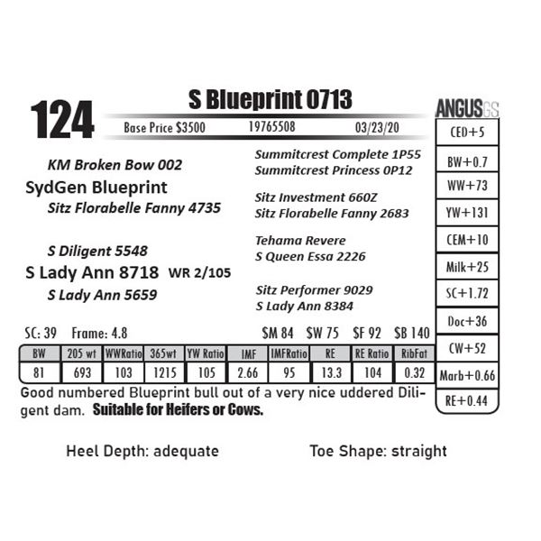 S Blueprint 0713