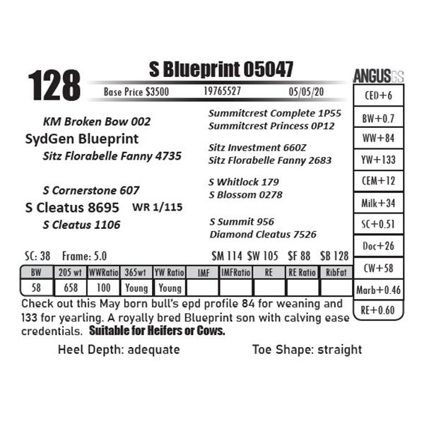 S Blueprint 05047