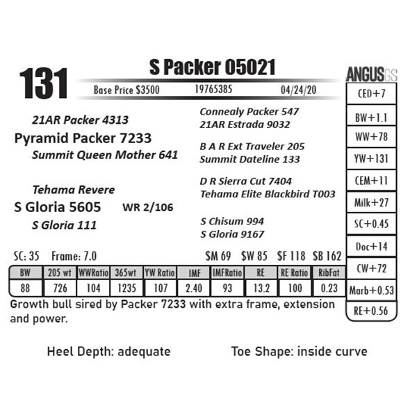 S Packer 05021