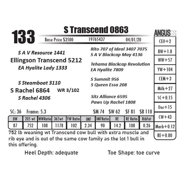 S Transcend 0863