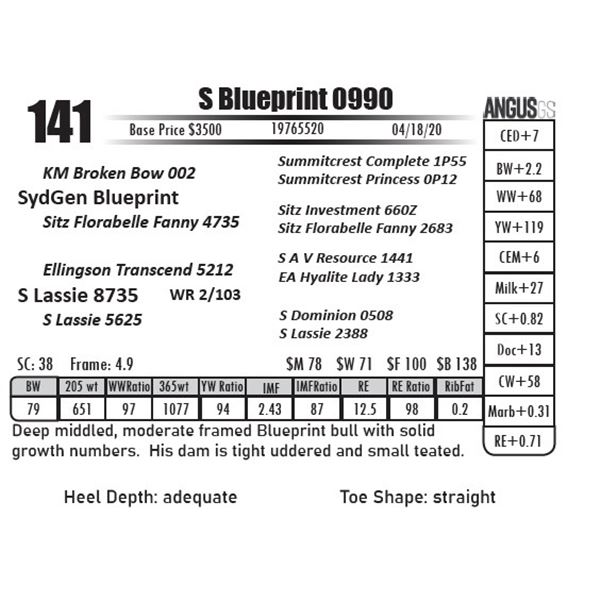 S Blueprint 0990