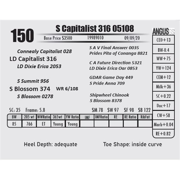 S Capitalist 316 05108