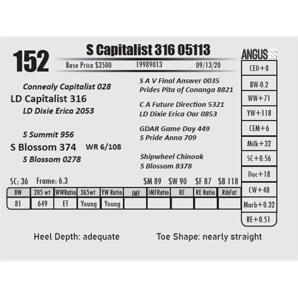 S Capitalist 316 05113