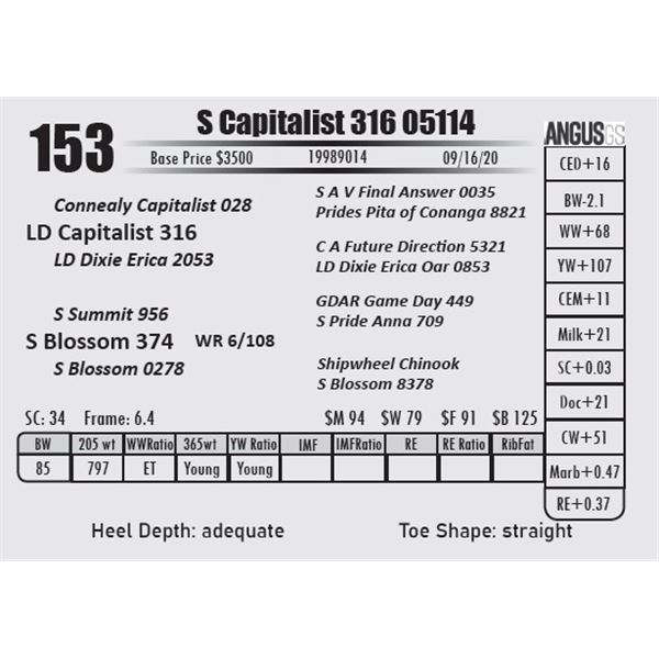 S Capitalist 316 05114