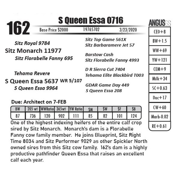 S Queen Essa 0716