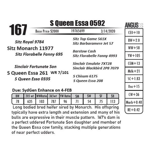 S Queen Essa 0592