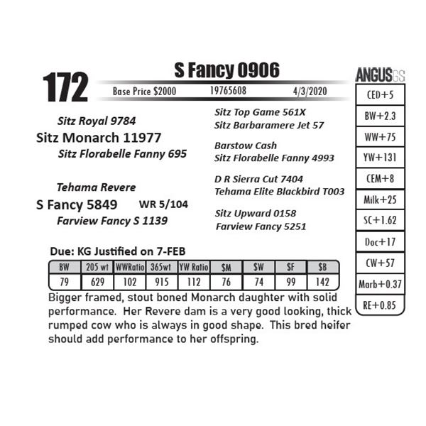 S Fancy 0906