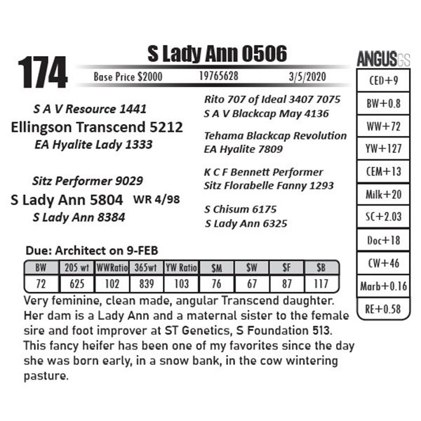 S Lady Ann 0506