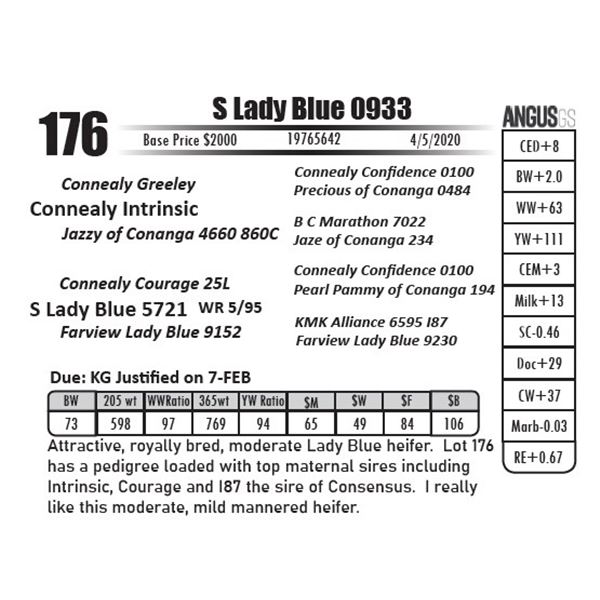 S Lady Blue 0933