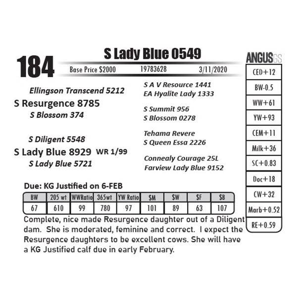 S Lady Blue 0549