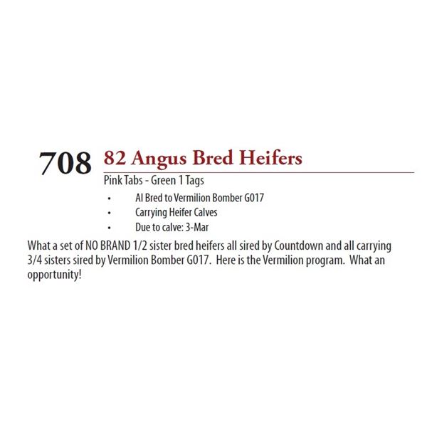 67 ANGUS BRED HEIFERS