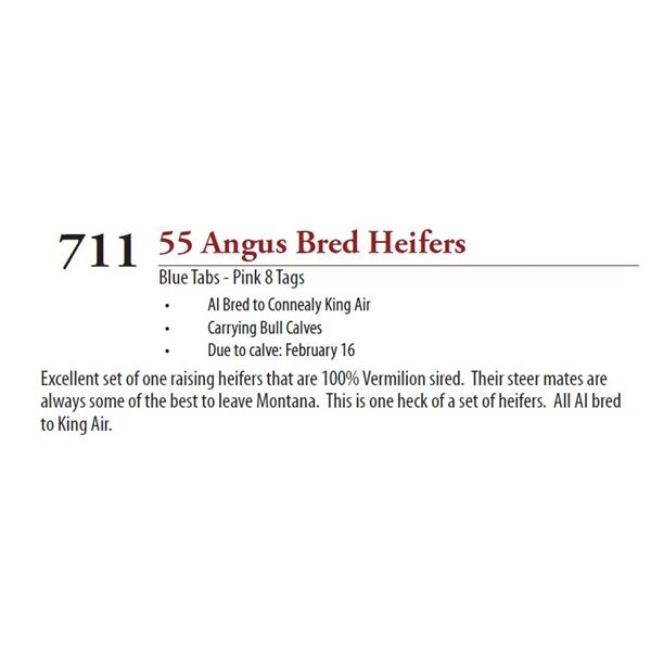 54 ANGUS BRED HEIFERS