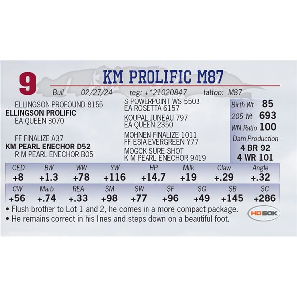 KM Prolific M87