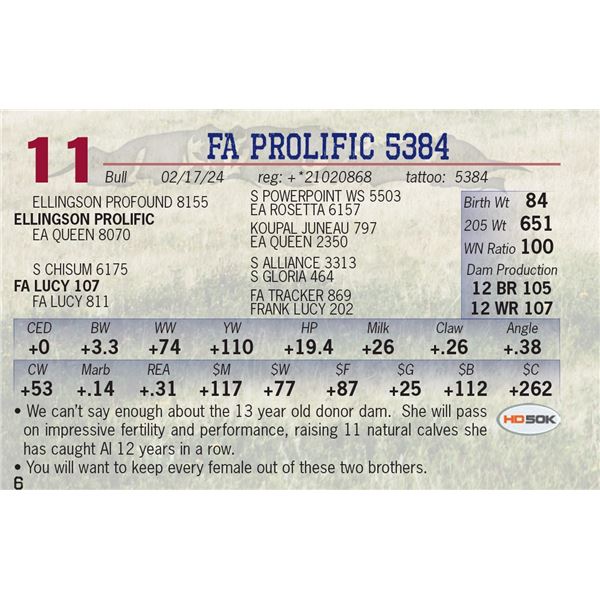 FA Prolific 5384