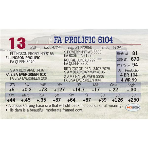 FA Prolific 6104