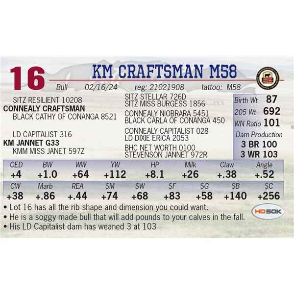 KM Craftsmann M58