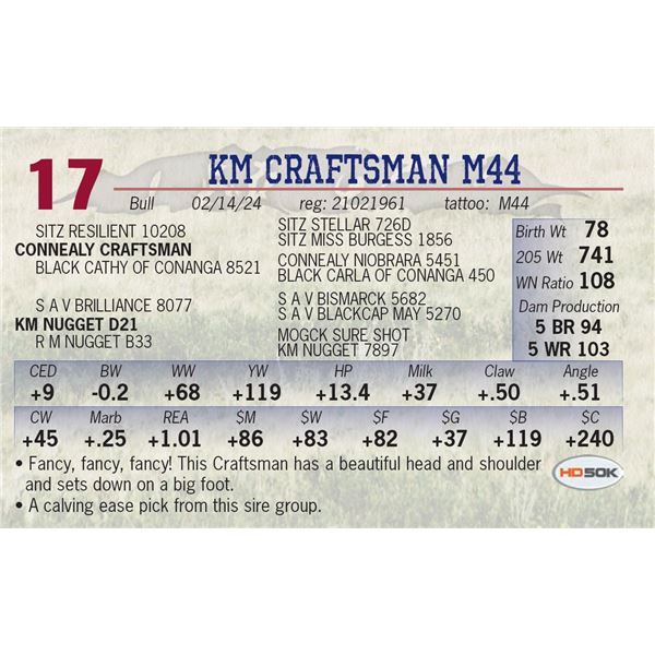 KM Craftsman M44