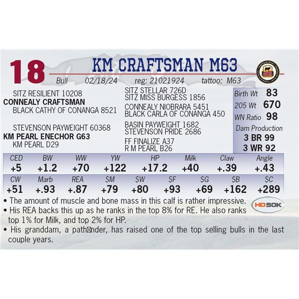KM Craftsman M63