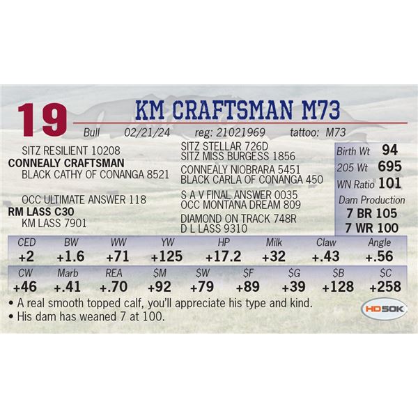 KM Craftsman M73