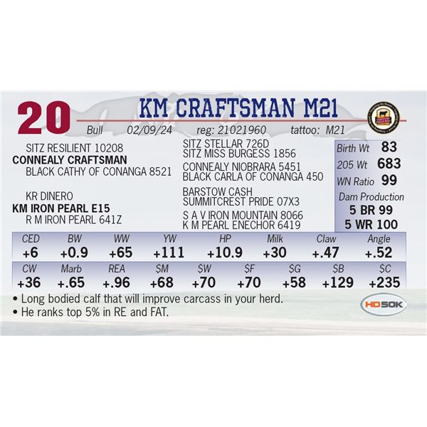 KM Craftsman M21
