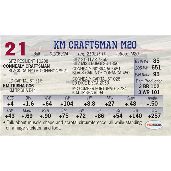 KM Craftsman M20