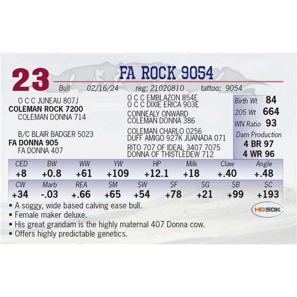 FA Rock 9054
