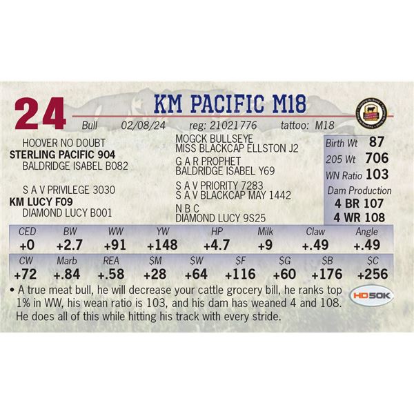 KM Pacific M18