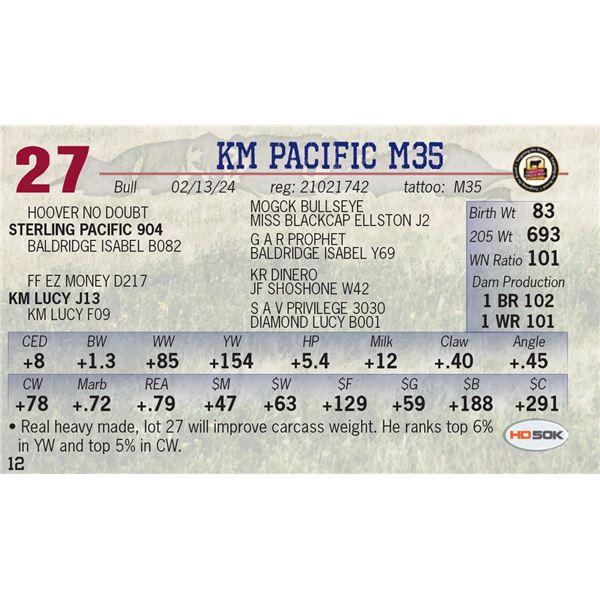 KM Pacific M35