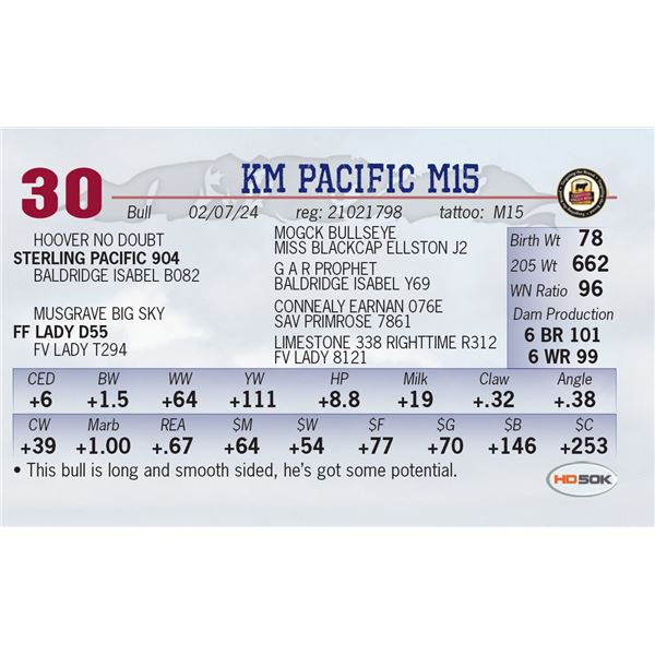 KM Pacific M15