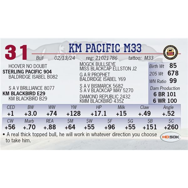 KM Pacific M33