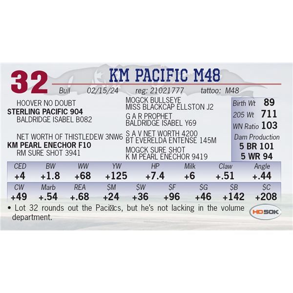 KM Pacific M48