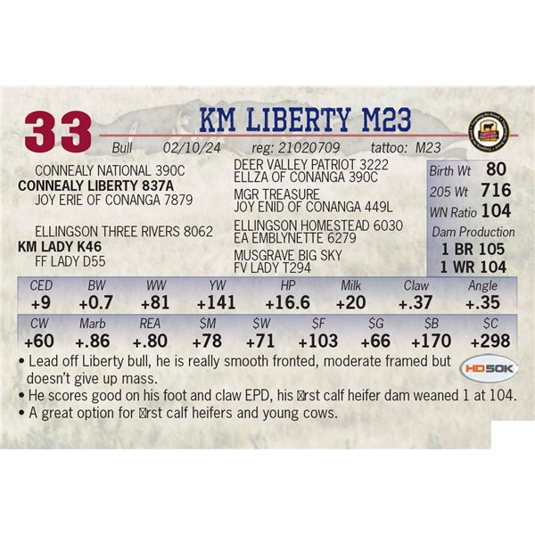KM Liberty M23