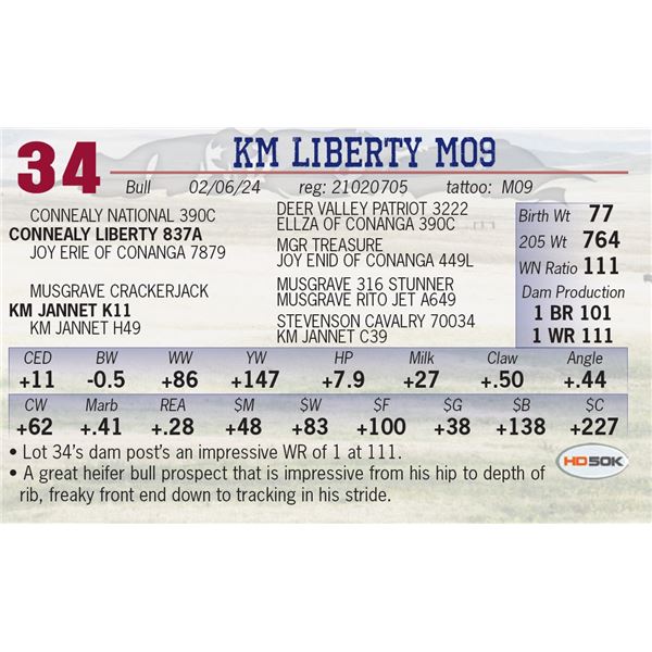 KM Liberty M09