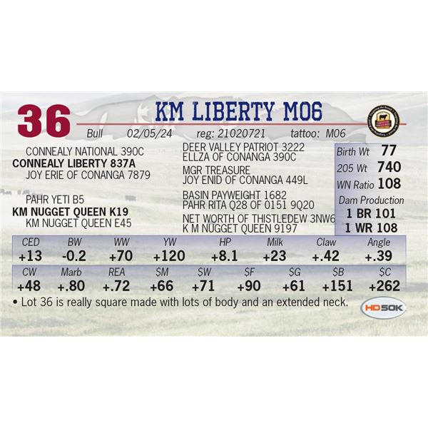 KM Liberty M06