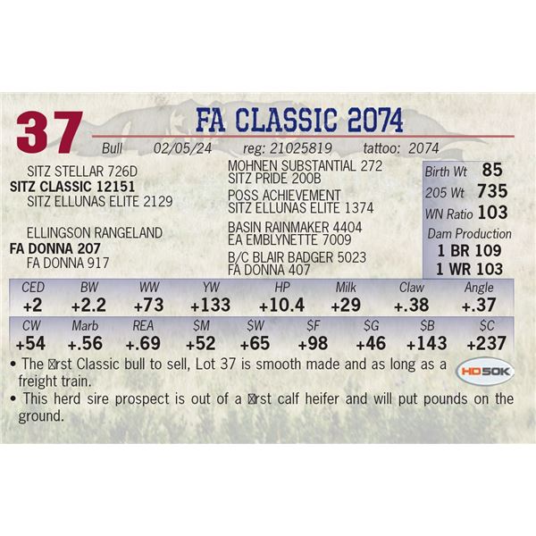 FA Classic 2074
