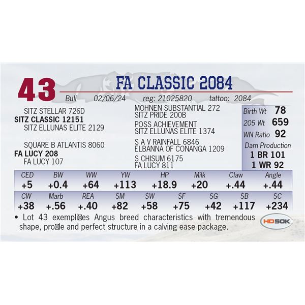 FA Classic 2084