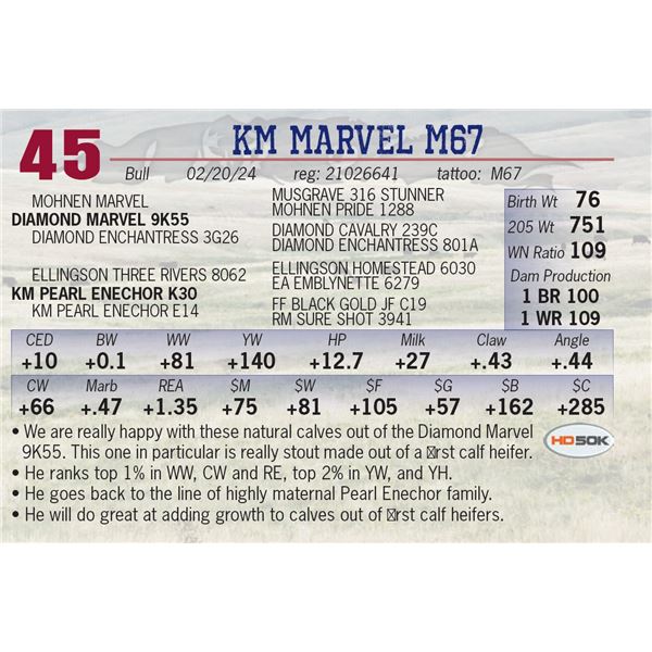 KM Marvel M67