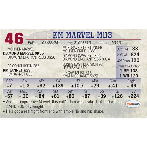 KM Marvel M113