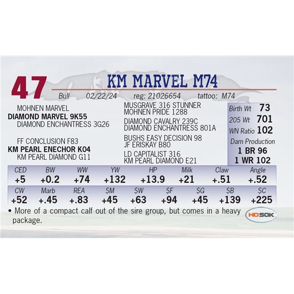 KM Marvel M74