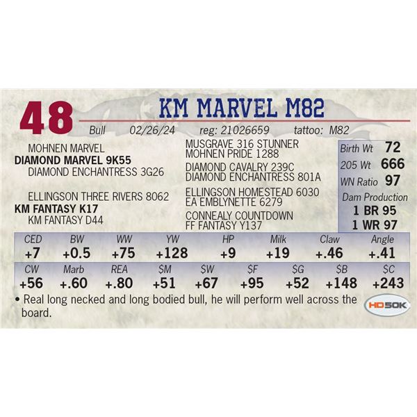 KM Marvel M82
