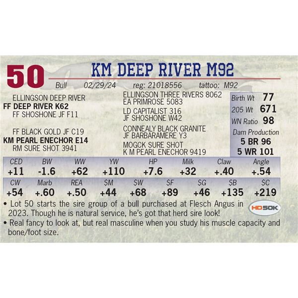 KM Deep River M92