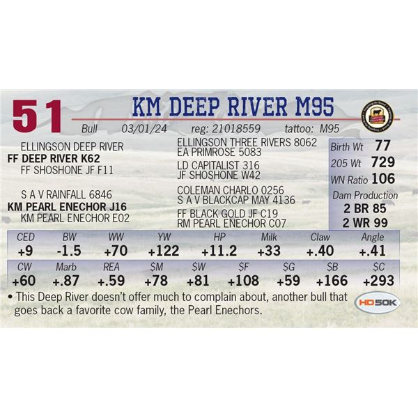 KM Deep River M95
