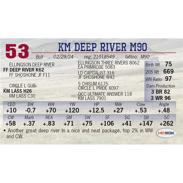 KM Deep River M90