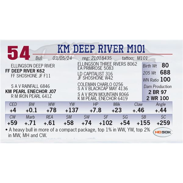 KM Deep River M101