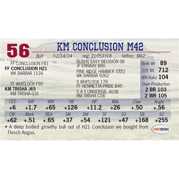KM Conclusion M42